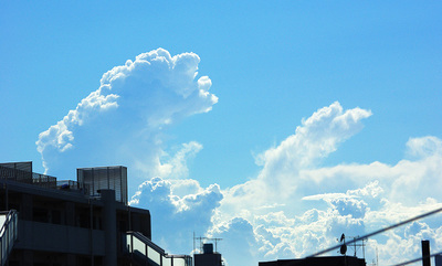 夏雲の写真1